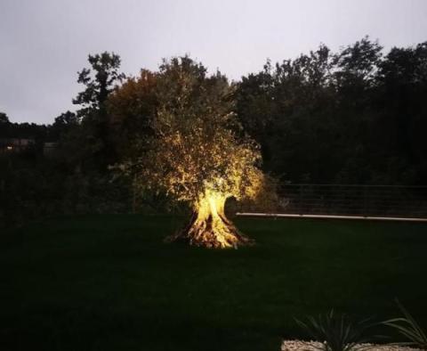 Új isztriai stílusú villa Barbanban eladó - pic 27