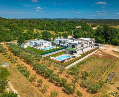 Villa moderne exceptionnelle à Štokovci, Svetvinčenat - pic 4