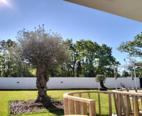 Exclusive villa in an excellent location in Svetvincenat - pic 12