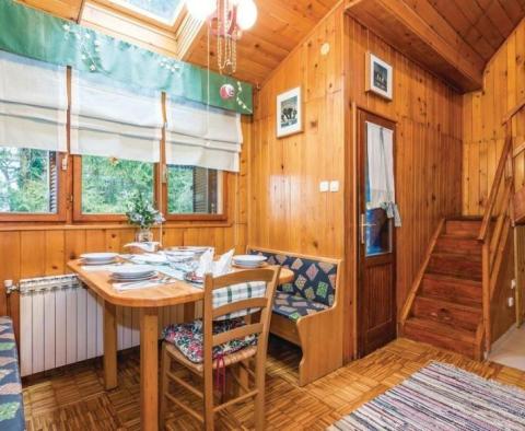Wonderful idyllic wooden holiday house Vrbovsko, Gorski Kotar - pic 5