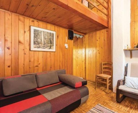 Wonderful idyllic wooden holiday house Vrbovsko, Gorski Kotar - pic 8