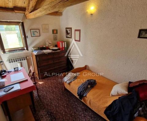 Wielka posiadłość na sprzedaż w okolicy Poreču, 8810 m² ziemi - pic 19