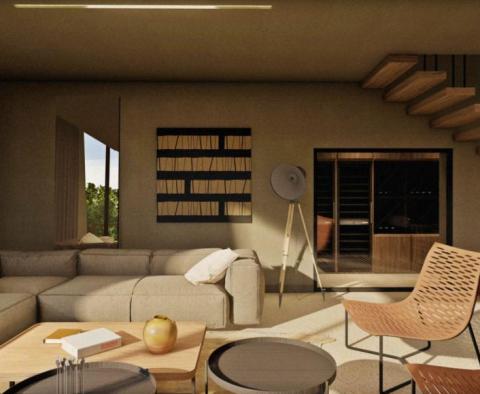 Impeccable designer villa in Motovun magic area - pic 20