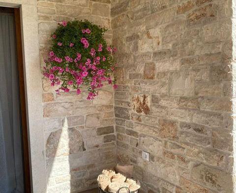 Wonderful stone villa in Karigador, Brtonigla, 750 meters from the sea - pic 18