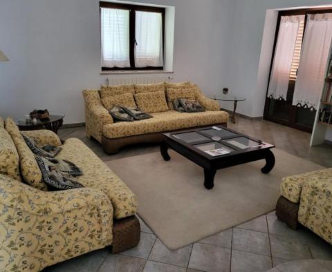 Estate in Brtonigla on 9600 sq.m. of land - pic 21