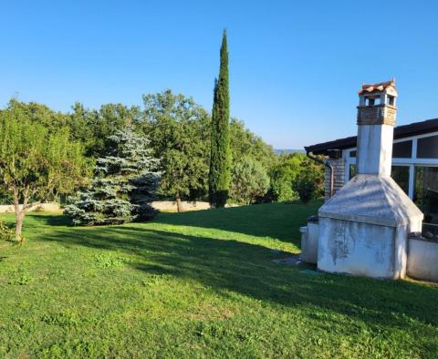 Estate in Brtonigla on 9600 sq.m. of land - pic 54
