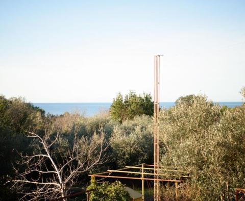 Guest house of 6 apartments in Premantura, Medulin - pic 2