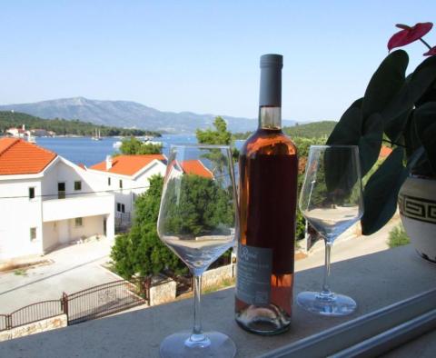 Magnifique appartement sur l'île de Korcula, à 30 mètres de la mer - pic 38
