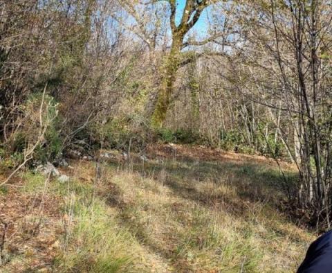 Herrliches Baugrundstück 17500m2 mit Meerblick, Touristengebiet für Hotel/Boutique-Hotel/Motel/Appartements/Villen/Häuser/Haus zur Miete – Urlaub mit Pool in Icici/Poljane - foto 3