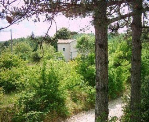 Fantastyczna posiadłość w Novaki Pazinski, Cerovlje, na 8,4 ha ziemi - pic 8