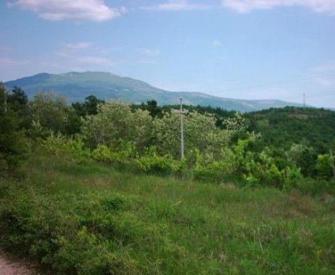 Fantastyczna posiadłość w Novaki Pazinski, Cerovlje, na 8,4 ha ziemi - pic 15