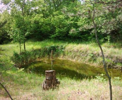 Fantastyczna posiadłość w Novaki Pazinski, Cerovlje, na 8,4 ha ziemi - pic 19