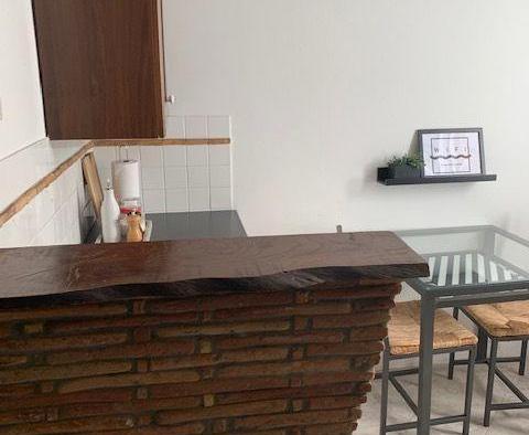 Dom z apartamentami na starym mieście Rovinj - świetna miejscowość turystyczna! - pic 30
