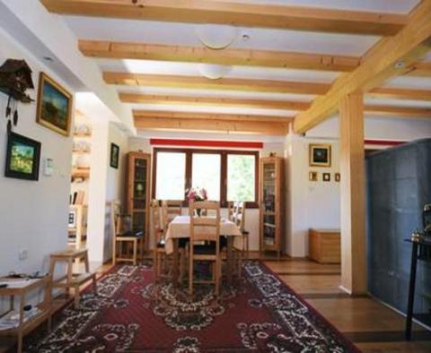 Vila s bazénem, saunou a zahradou na atraktivním místě v Begovo Razdolje - pic 23