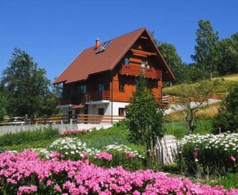 Vila s bazénem, saunou a zahradou na atraktivním místě v Begovo Razdolje - pic 24