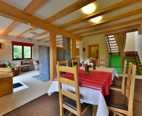 Vila s bazénem, saunou a zahradou na atraktivním místě v Begovo Razdolje - pic 27