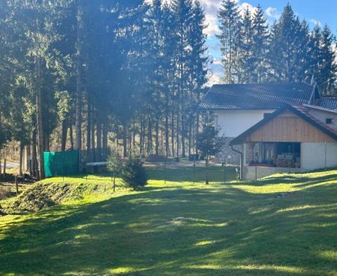 Beautiful house in the heart of Gorski Kotar, Brod Moravice - pic 3