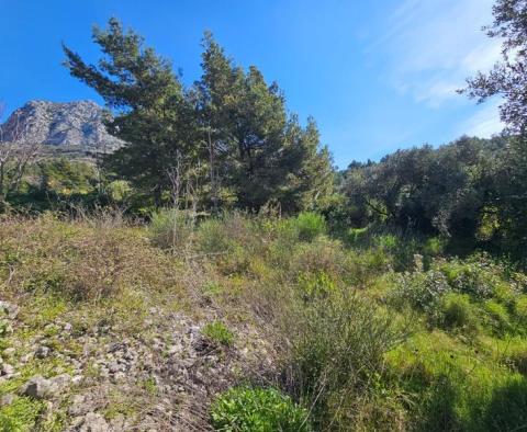 Ritka telek eladó a tengertől 2. sorban a Makarska riviérán - pic 8