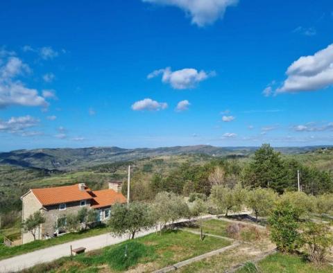 Fantastyczne osiedle w Buzet składające się z 4 budynków mieszkalnych i jednego budynku mieszkalno-biznesowego, otwarty widok na przyrodę i jezioro - pic 28