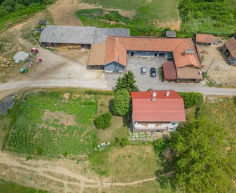A large property with a well-established business! 40 hectares of land in Blatusa! - pic 4