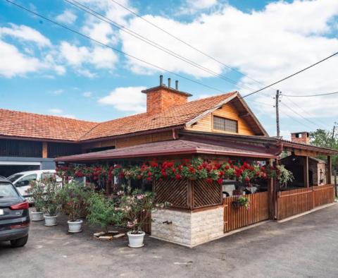 A large property with a well-established business! 40 hectares of land in Blatusa! - pic 9