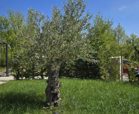 Schöne Villa in Karojba, Umgebung Umag zu kaufen - foto 62