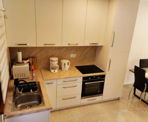 Discounted! - Rare two-bedroom apartment on the ground floor with garden and swimming pool in Tar-Vabriga - pic 5