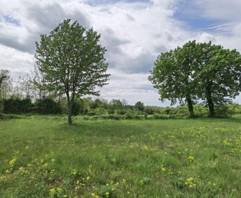 Terrain à bâtir pour investisseurs dans la région de Visnjan près de Porec - pic 4