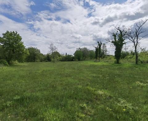 Terrain à bâtir pour investisseurs dans la région de Visnjan près de Porec - pic 5
