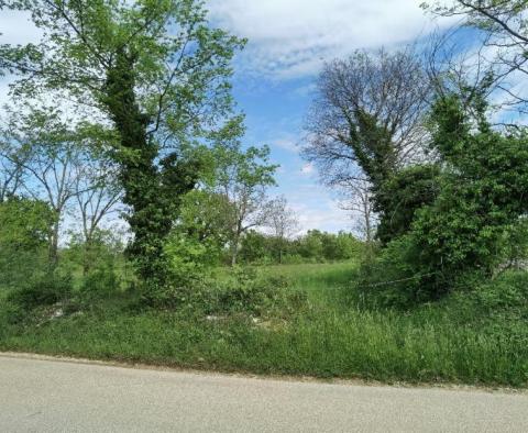 Terrain à bâtir pour investisseurs dans la région de Visnjan près de Porec - pic 7