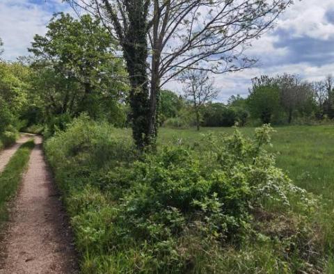 Terrain à bâtir pour investisseurs dans la région de Visnjan près de Porec - pic 8