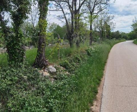 Terrain à bâtir pour investisseurs dans la région de Visnjan près de Porec - pic 9