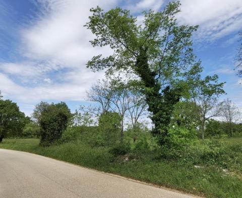 Terrain à bâtir pour investisseurs dans la région de Visnjan près de Porec - pic 10
