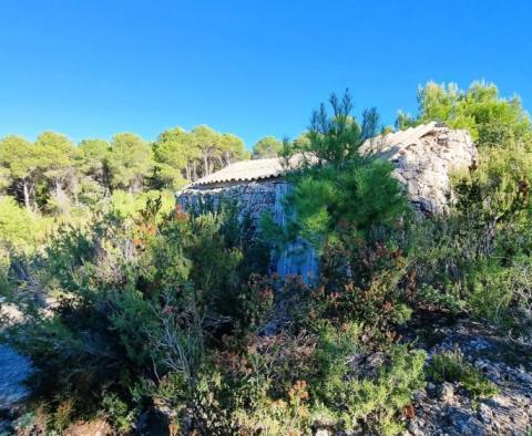 Terrain agricole de 23.450 m² avec 6.000 raisins, maison en pierre et vue mer sur l'île de Vis - pic 5
