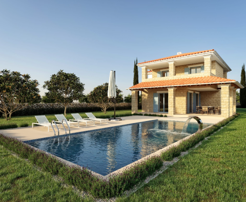 Villa with pool in Vižinada, Porec 