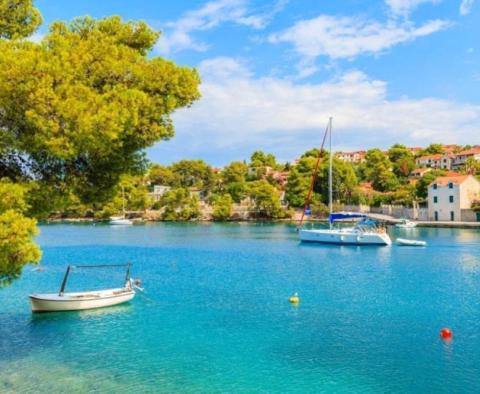 Großes Ackerland mit Olivenhain in Splitska, Brac 