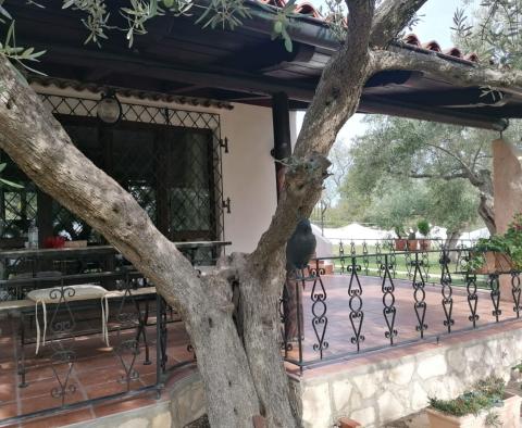 A unique rustic house with a view of the Brijuni Islands in Galizana, for sale! 