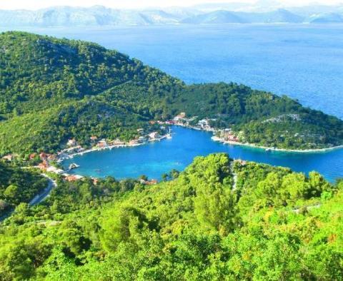 Terrain constructible unique au bord de l'eau sur l'île de Mljet - 50 nuances de vert 