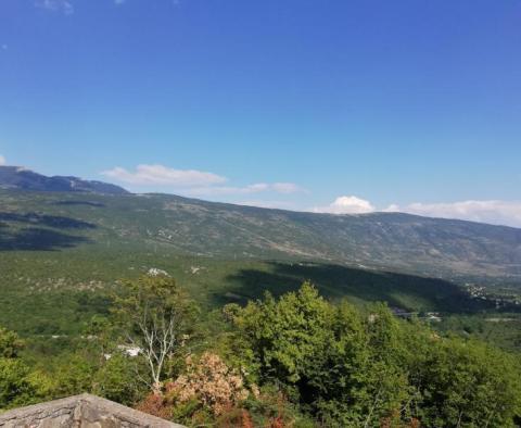 Immense terrain agricole en Istrie, plus de 1 million de m². 