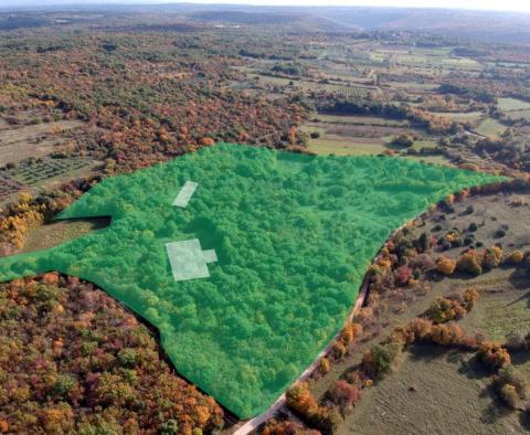 Grundstück zu verkaufen mit unfertigem Gebäude in Mrgani, Kanfanar über 3 ha, 36.757 m2 