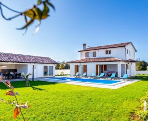 Wonderful villa with swimming pool in Šišan, Ližnjan 