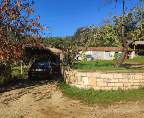 Spacious estate in Rovinj area, walking distance from the sea, on 11000 sq.m. of land 