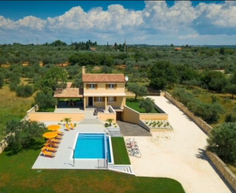 Villa dans le quartier de Fažana avec piscine et verdure autour, sur 2300 m². terrain 