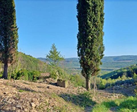 Malerisches Anwesen in Grožnjan auf 7458 qm. vom Land 
