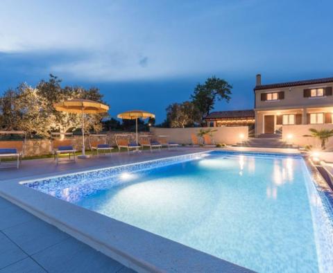 Beautiful secluded villa in Fazana with magnificent sea view! 