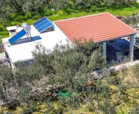 Samostatně stojící dům v oblasti Starigrad na ostrově Hvar s olivovým polem 