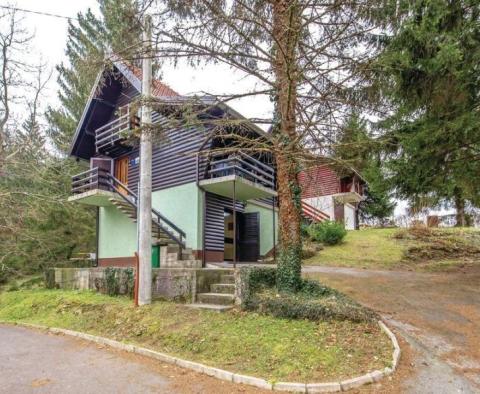 Wonderful idyllic wooden holiday house Vrbovsko, Gorski Kotar 