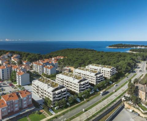 Wunderschöne neue Residenz in Sv. Polikarp / Sisplac, Pula, bietet tolle 1-Zimmer-Wohnung 