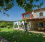 Istrian style villa in Buzet, with swimming pool - pic 45