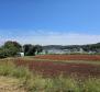 Land plot in Pomer, Medulin,150m from the sea - pic 2